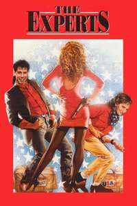 The Experts - Poster