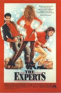 The Experts - Poster