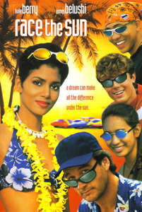 Race the Sun - Poster