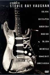 A Tribute to Stevie Ray Vaughan