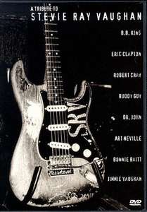 A Tribute to Stevie Ray Vaughan - Poster