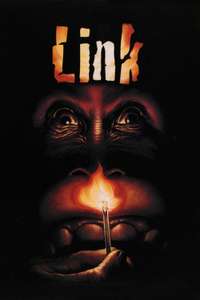 Link - Poster