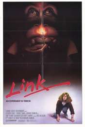 Link