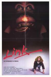 Link - Poster