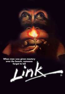 Link - Poster