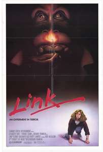 Link - Poster