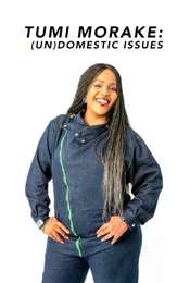 Tumi Morake: (Un)domestic Issues