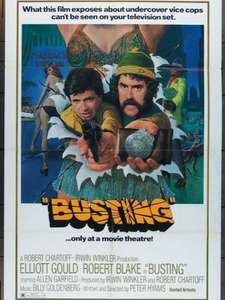 Busting - Poster