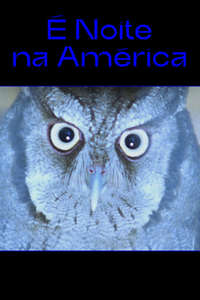 It Is Night in America - Poster