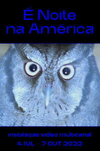 It Is Night in America - Poster