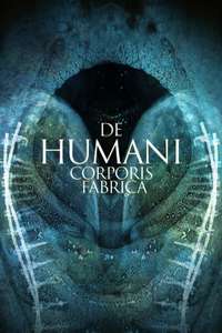 De Humani Corporis Fabrica - Poster
