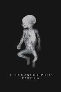 De Humani Corporis Fabrica - Poster