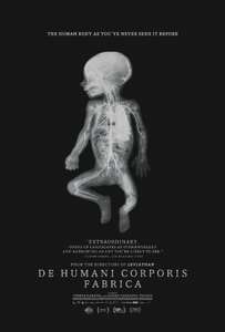De Humani Corporis Fabrica - Poster