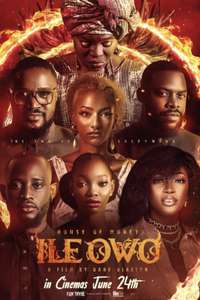 House of Money (Ile Owo) - Poster