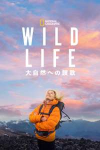 Wild Life - Posters