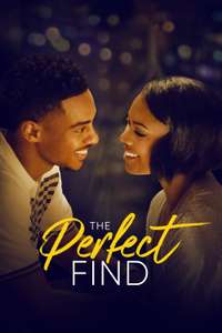 The Perfect Find - Posters
