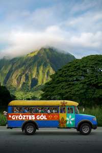 Next Goal Wins - Posters