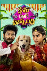 Slum Dog Husband - Poster