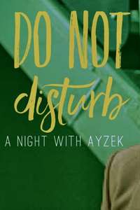 Do Not Disturb - Poster