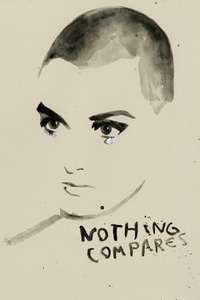 Nothing Compares - Posters