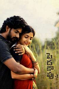 Peddha Kapu 1 - Poster