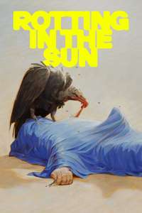 Rotting in the Sun - Posters