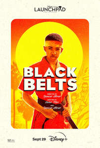 Black Belts - Posters
