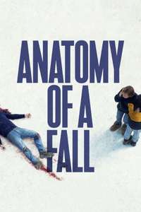 Anatomy of a Fall - Posters