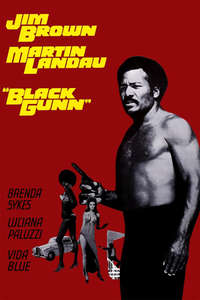 Black Gunn - Posters