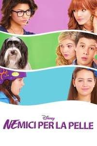 Frenemies - Poster