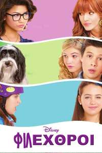 Frenemies - Poster