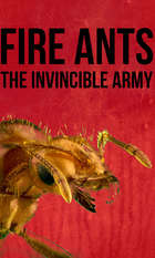 Fire Ants 3D: The Invincible Army