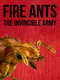Fire Ants 3D: The Invincible Army