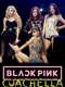 BLACKPINK: Coachella