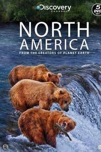 North America - Poster