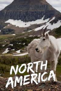 North America - Poster