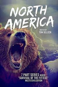 North America - Poster