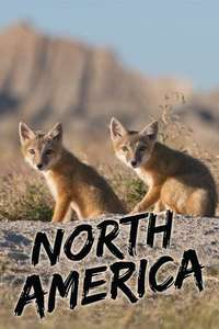 North America - Poster