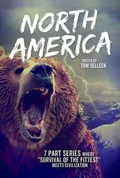 North America
