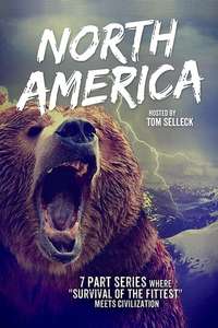 North America - Poster