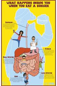 Bob's Burgers - Posters