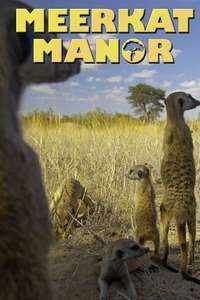 Meerkat Manor - Poster