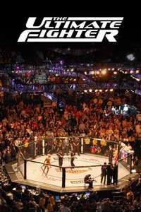 The Ultimate Fighter - Poster