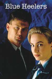 Blue Heelers - Poster