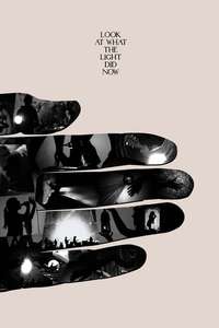 Look at What the Light Did Now - Poster