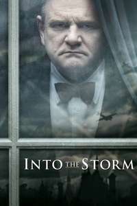 Into the Storm - Posters