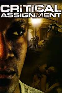 Critical Assignment - Poster