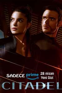 Citadel - Posters