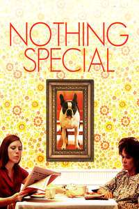 Nothing Special - Poster