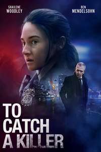 To Catch a Killer - Poster